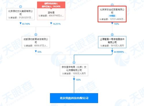 京東關聯電競公司全資收購北京霓旌科技，強化電競生態布局